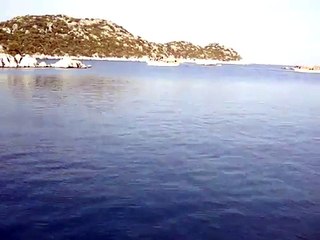 MOONING THE DIPLOMATS