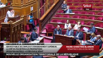 En séance - Nouvelle Organisation Territoriale de la République