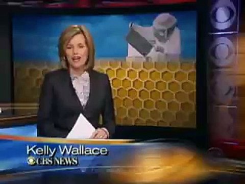 تربية النحل