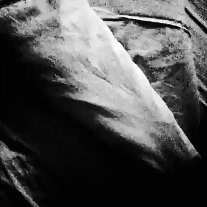 Le corps de toile