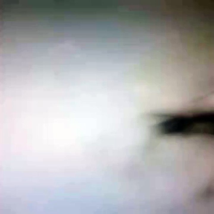 Le temps de l'oiseau. The time of the bird