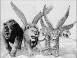 The Four Beasts of Daniel's Vision