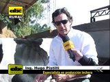 Apareamiento correctivo en vacas lecheras Ing Hugo Pistilli