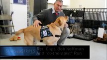 Therapy dog Ron shows off some of his skills