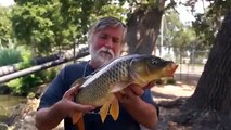 Tips on Carp Fishing from Shore Using Corn and the T-Turn