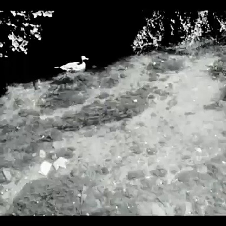 Quand c'est arrivé... When it arrived...