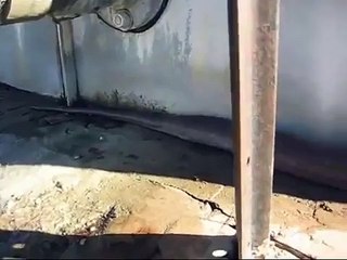 A Világ legnagyobb döglött kígyója