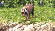 Finger Family 3D | Tiger Finger Family | Animal cartoons Finger Family Nursery Rhymes