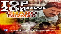 Corridos Pal Chapo Guzmán Top 20 -Exclusivo- (2015)