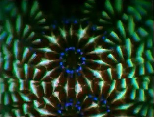 Stereo Mc's - Elevate my mind ( Original Promo Video High Quality )