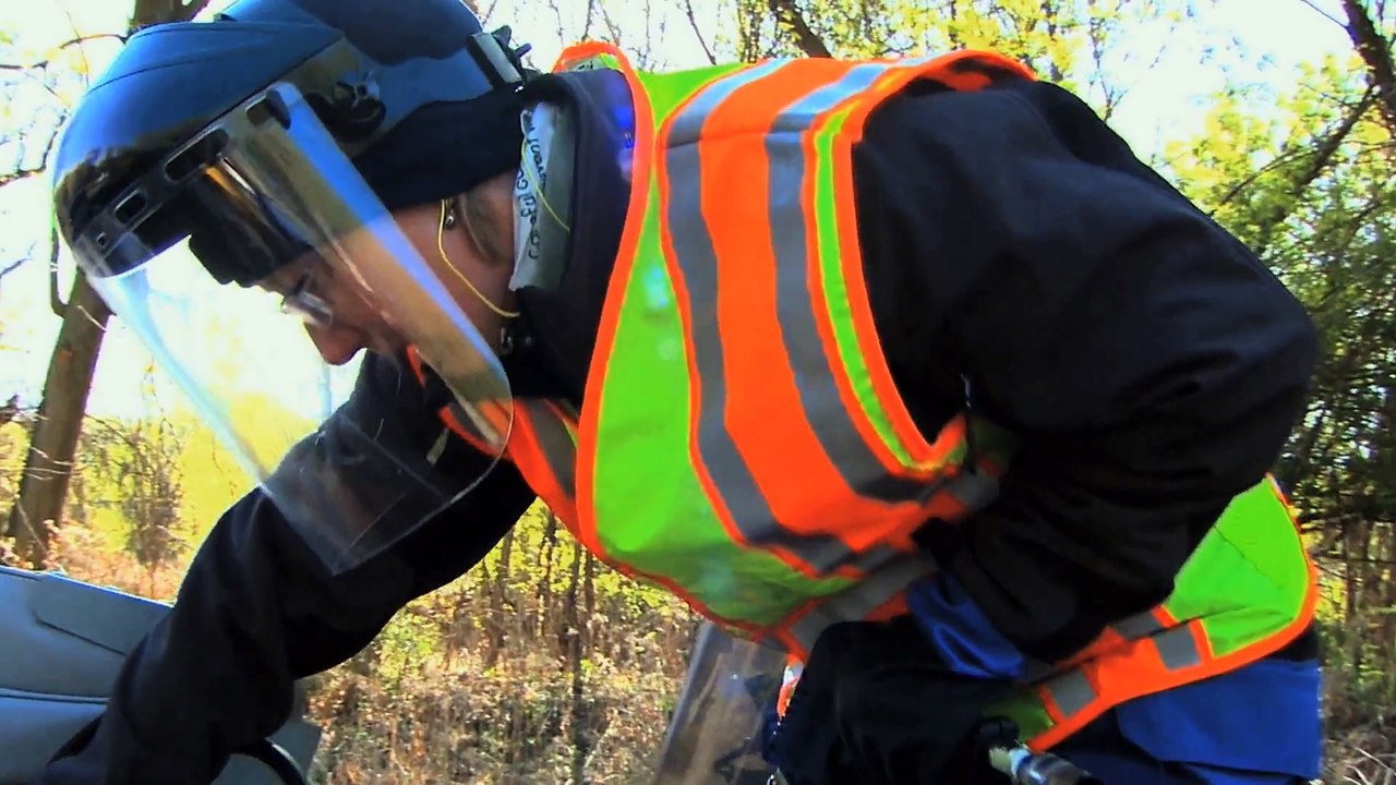 Wildlife Forever - Wood Ducks Spotlight