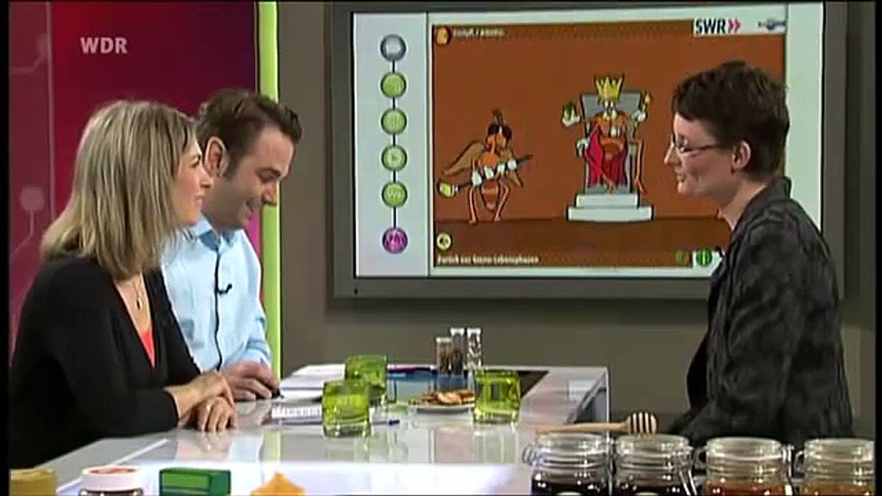 Planet Wissen (27.3.2013) zum Thema Bienen (mit...