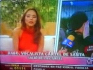 cartel de santa babo libre la oreja