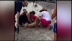 Dog Revived at Beach After Drinking Too Much Saltwater