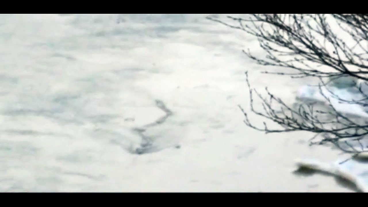 The Iceland Worm Monster (Lagarfljóts Worm) Caught on Camera[Original]