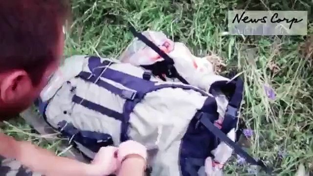 Se difundió video donde prorrusos saquean avión derribado de Malaysia Airlines