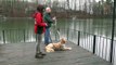 Dog Training, Moose, Golden Retriever, Day 6  Fishing Training and Place Command At Dock