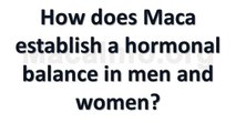 How does Maca establish a hormonal balance in men and women? (Maca Question Video)