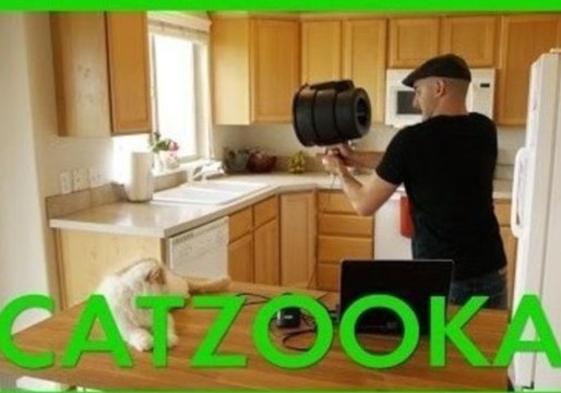 Catzooka Launches Adorable Felines