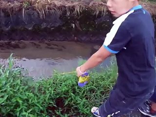 さかなキラーで魚が取れるか