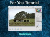 photoshop tutorials for beginners - Defining Image Interpolation