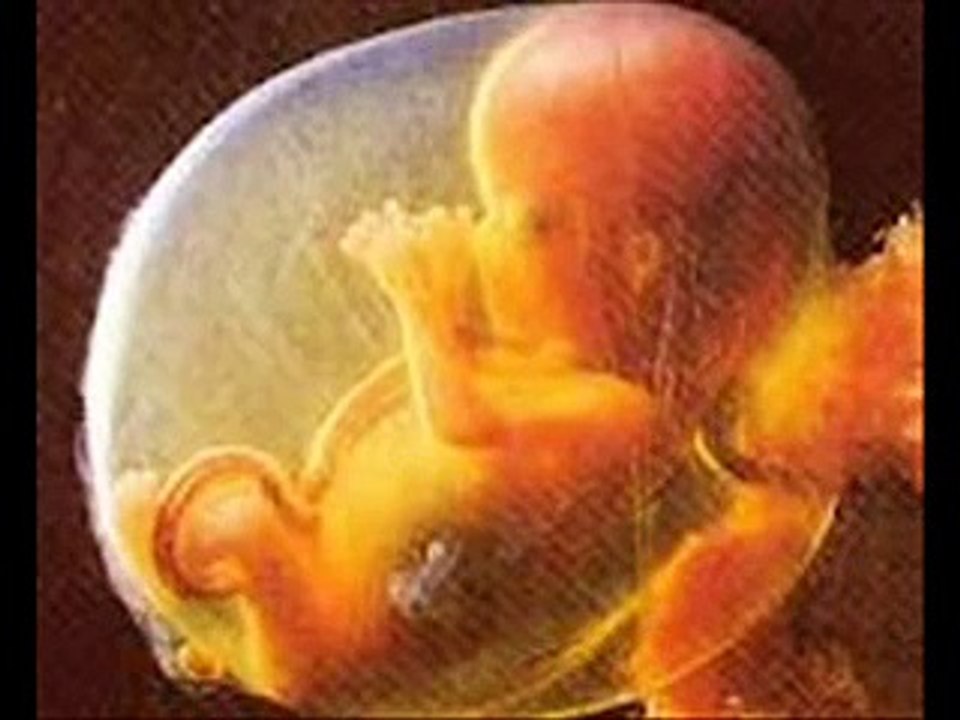 El ciclo de la vida humana