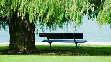 Inspirational Story - "The Most Beautiful Flower"