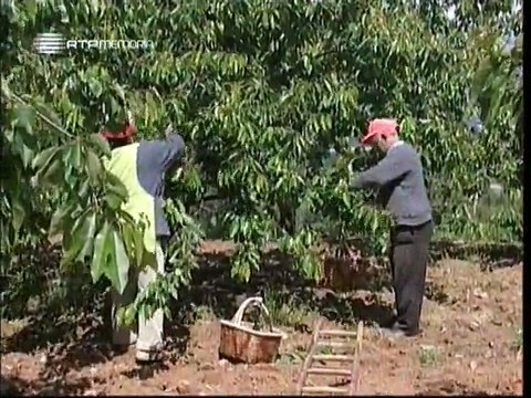 A Alma e a Gente - VI #26 - Cova da Beira, Berço de Terra e Gente - 06 Jul 2008