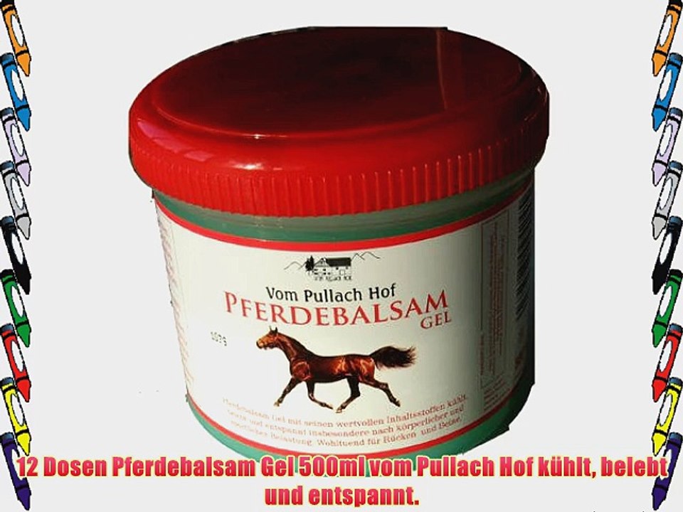 12 Dosen Pferdebalsam Gel 500ml vom Pullach Hof k?hlt belebt und entspannt.