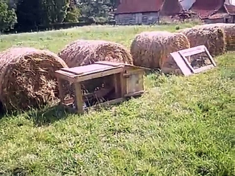 cage mobile en action