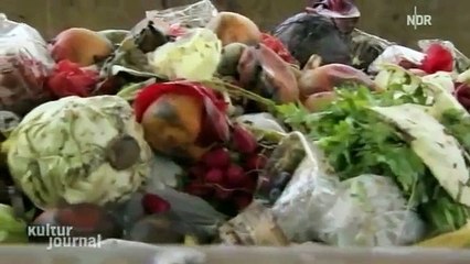 Schockierende Doku: "Taste the Waste" - Kulturjournal - NDR