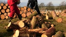 Managing Small Woodlands
