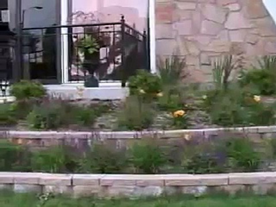 Christ Temple Apostolic Faith Church