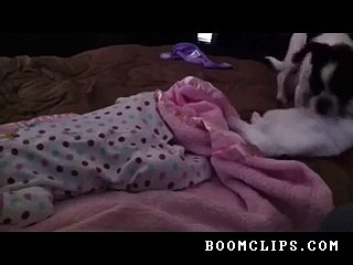 Intelligent & Cute Dog Tucks In Baby, How Nice......................!!!!!!!!!!!!!!!!!!!