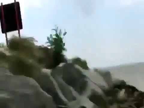 Shark Attack Teen Girl, Wild Animal Fights, Best Wild Animal Attacks Australia