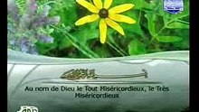 Sourat Al Ikhlass - Mahmoud Ali Albanna