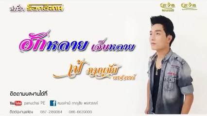 ฮักหลายเจ็บหลาย - เป้ ภาณุชัย พรสวรรค์ [Official Audio]
