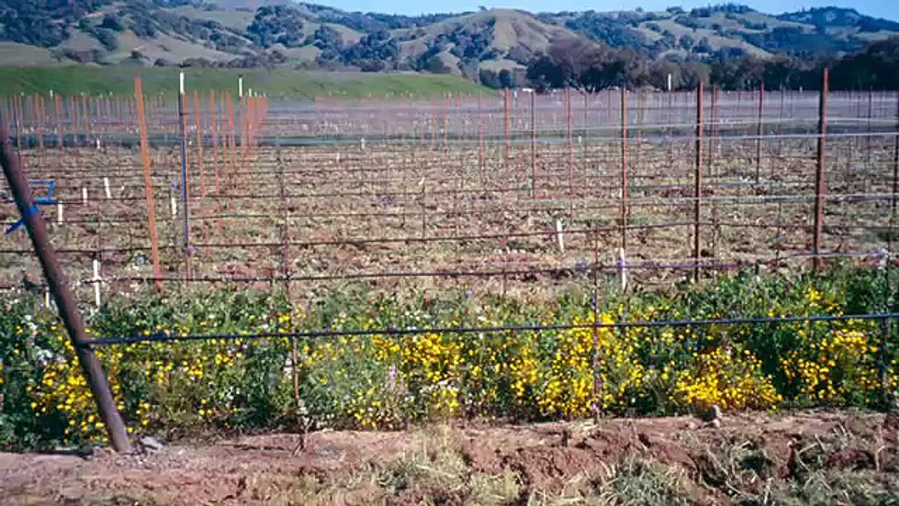Fish Friendly Farming