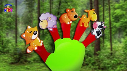 Finger Family Collection - 7 Finger Family Songs - Daddy Finger Nursery Rhymes