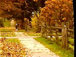 The Mechanical Universe: 30. Potential and Capacitance