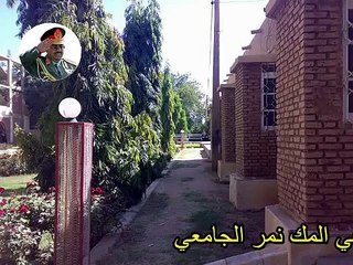 شندي المك نمر