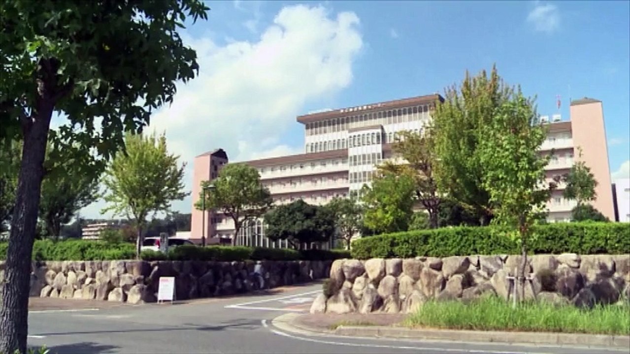 Le pilote de Formule 1 Jules Bianchi est décédé à l'âge de 25 ans