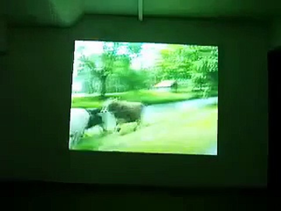 Roman Signer - Canoe vs.cows