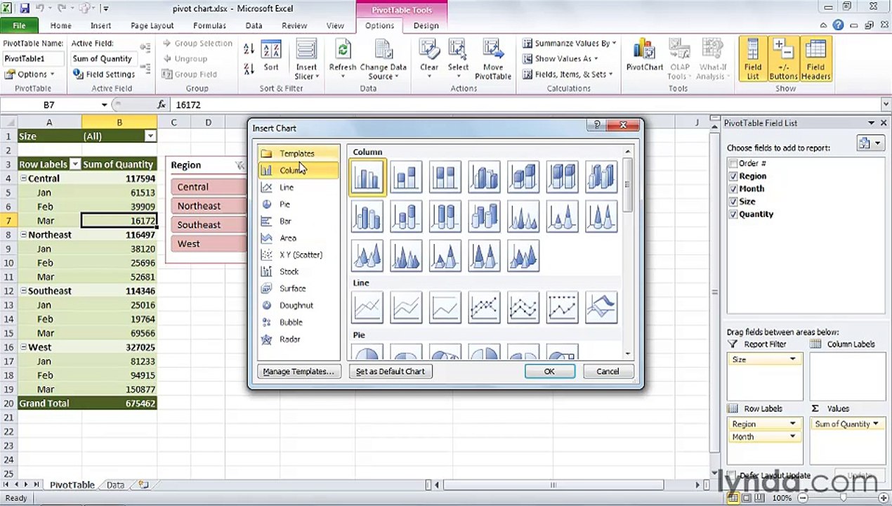 MS Excell Creating and modifying a PivotChart