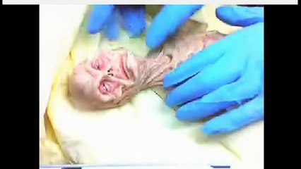 Types of Nephilim From Scientist In Hiding...