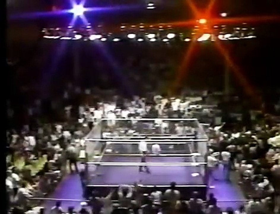 The Road Warriors vs The Freebirds (Cage Match)