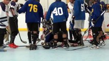 Ball Hockey Fights - Bench Clearing Ball Hockey Brawls - TriCity Seekers vs. nWo (Deluxe Version)