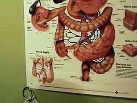 Colonic Virtual 240-353-4457 KSSCOLONICS53@AOL.COM