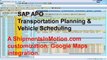 SAP APO TP/VS customization: Google Maps integration