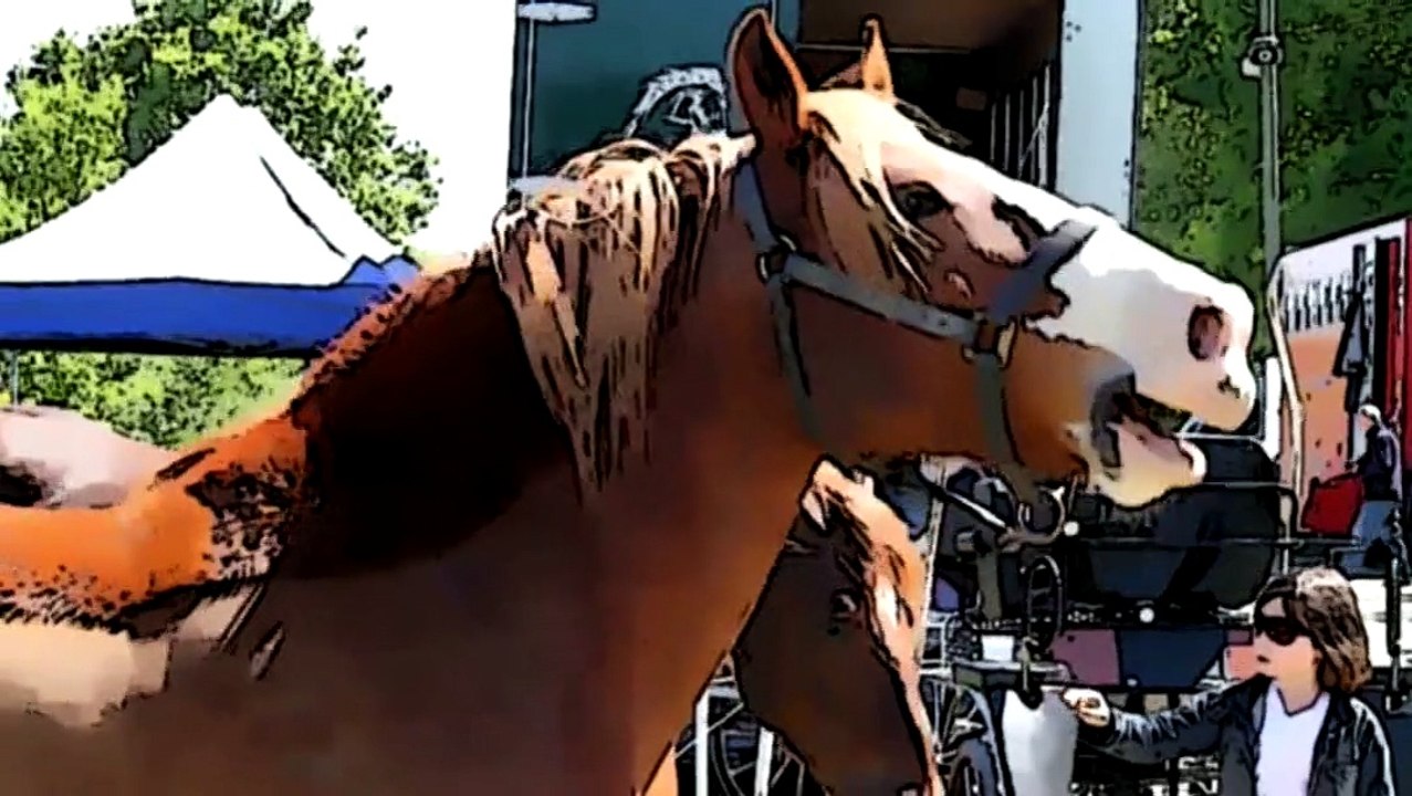 trafic en baie de Saint-Malo